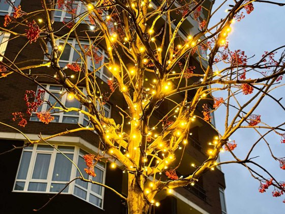 2-кімнатна квартира в Ірпені | Вдала локація для життя Ірпінь