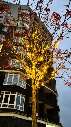 2-кімнатна квартира в Ірпені | Вдала локація для життя - фото 1