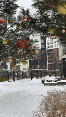 3-кімнатна квартира з розстрочкою в новому будинку - фото 1