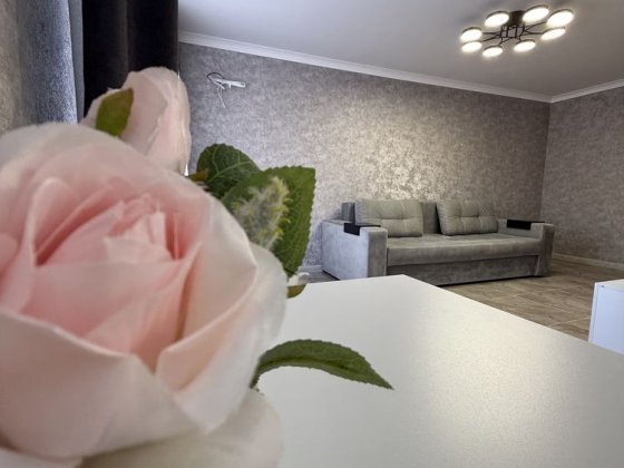 Продаж гарної  квартири. Центр.Свіжий , якісний ремонт Чернигов