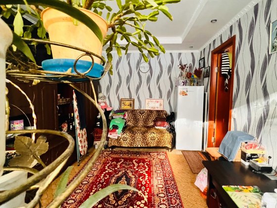 Продам 2к малогабаритну квартиру в Центрі міста з сучасним ремонтом Кропивницкий