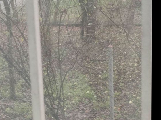 Продаж 1 кімн кв по вул Хвильового( хрущовка) Львов