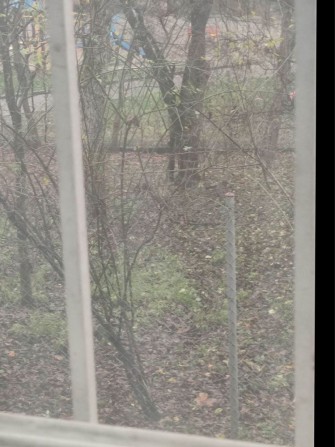 Продаж 1 кімн кв по вул Хвильового( хрущовка) - фото 1