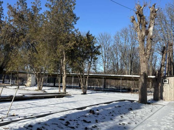 Продам квартиру в новобудові Н, Миколаївка Кропивницкий