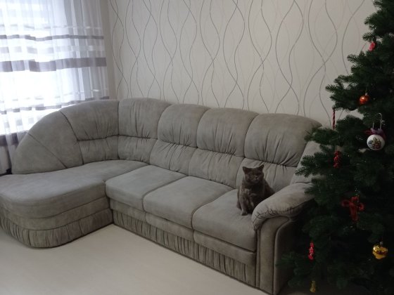 Продається трикімнатна квартира студія Запоріжжя