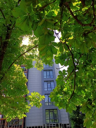 2-х ком квартира возле парка Марка Твена! АГВ! - фото 1