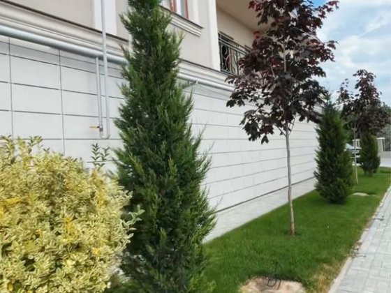 Продаж 1К Квартира  Біля Моря Газ Тераса Одеса Одеса