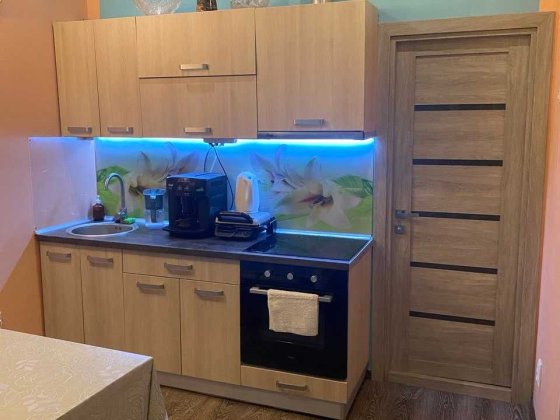 однокімнатна квартира в історичному центрі Одеси вул. Жуковського Одесса