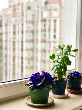 Статусная 3 комн в  Элитном ЖК Дома Каркашадзе. Французск б-р - фото 1