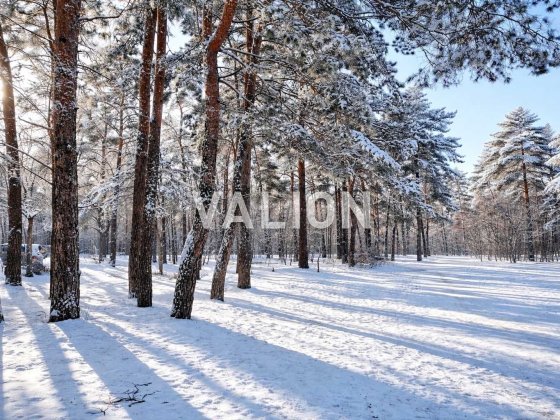 Без%Продаж 2-к квартири 73 кв. м вул. Вінграновського 2., ЖК Вудсторія Киев