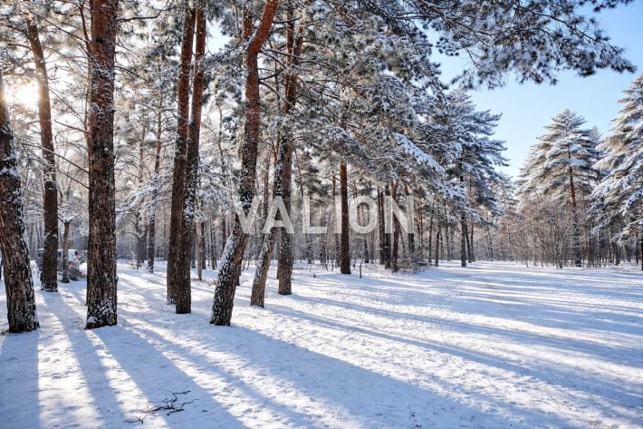 Без%Продаж 2-к квартири 73 кв. м вул. Вінграновського 2., ЖК Вудсторія - фото 1