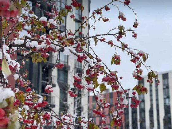 Продаж 2к квартири з терасою у ЖК Respublika! Киев