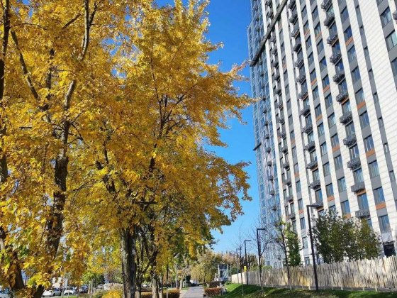 Продам квартиру з терасою ЖК Метрополіс Киев