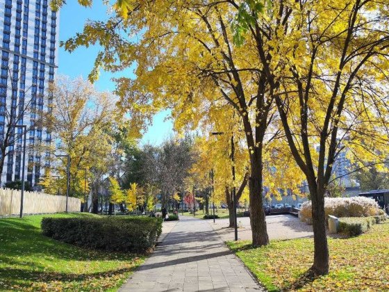 Продаж квартири ЖК  Метрополіс в готовому будинку Киев