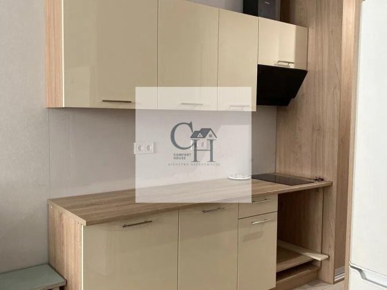 Біличі. вул. Олевська Святошинський район Киев