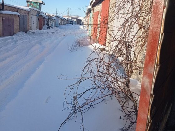 Гараж в ГК Лада "Леваневського" Шкаровка