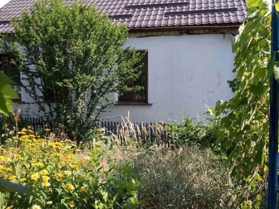 Будинок 75 кв.м р-он кулінарії Олександрія