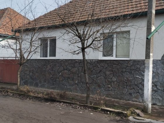 Продам дом Закарпатья Берегово Берегово