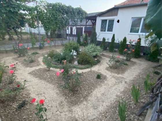 Продам будинок у передмісьті Берегова