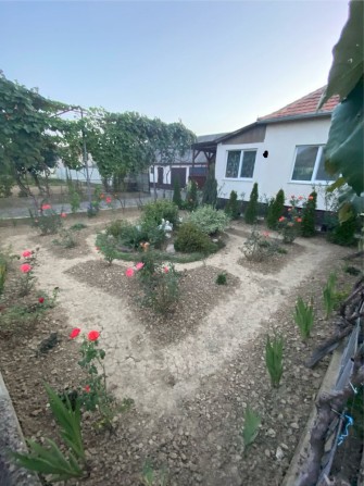 Продам будинок у передмісьті Берегова - фото 1