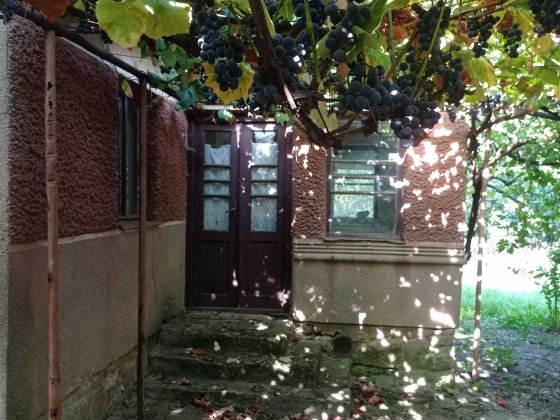 Будинок з земельною ділянкою біля будинку Берегово