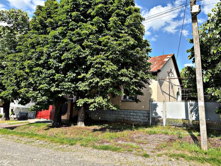 Сімейний затишний будинок - фото 1