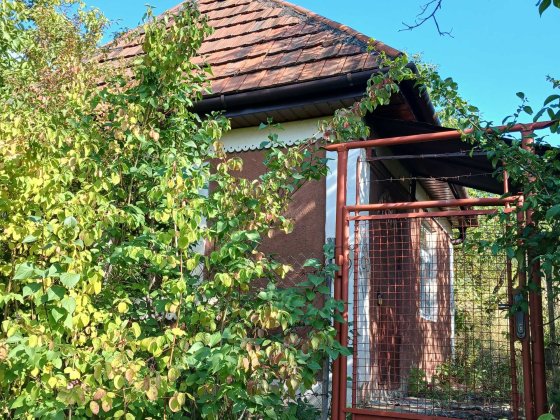 Дача біля термального басейну в Берегові з садовою ділянкою 6.5 соток Берегово