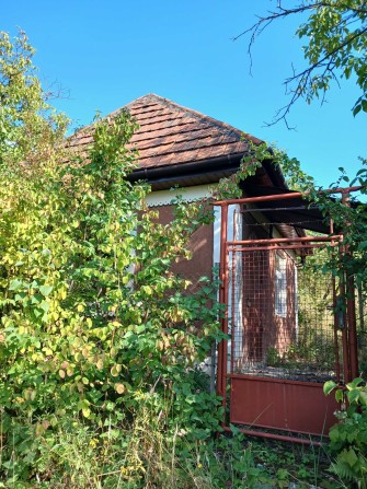 Дача біля термального басейну в Берегові з садовою ділянкою 6.5 соток - фото 1