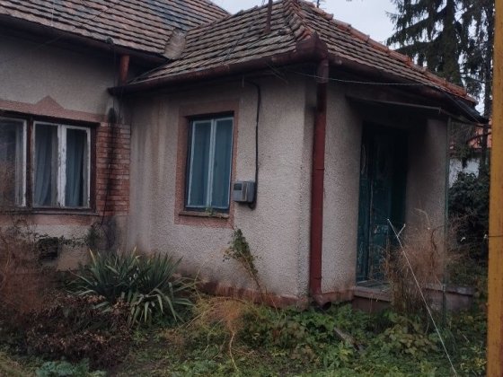 Продам дом Закарпатье Берегово Берегово