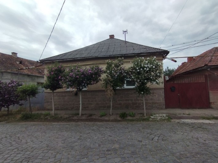 Будинок в Закарпатська обл. Берегівський р-н. г. Берегове - фото 1