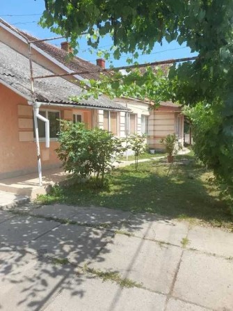 Будинок у Берегові з 2 окремими квартирами + орендарі, готовий дохід - фото 1