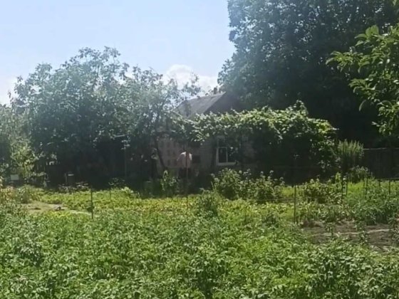 Продам Дачу Сади 3