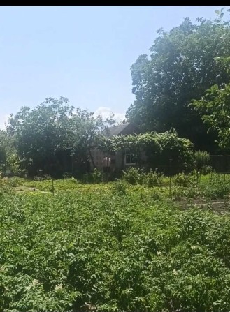 Продам Дачу Сади 3 - фото 1