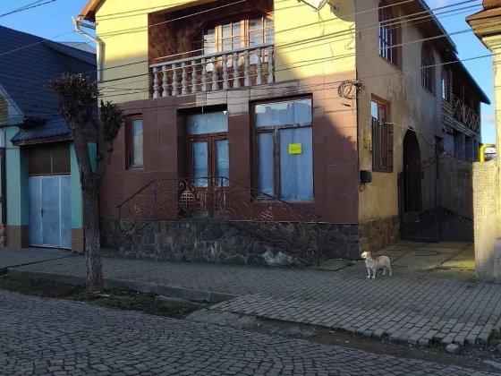 Дом в центри миста з магазином Виноградов