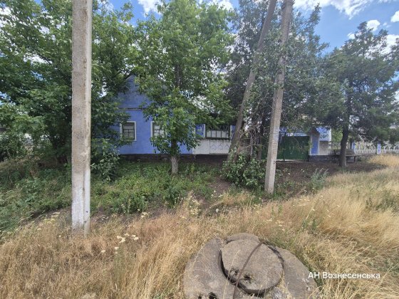 Будиночок і 70 соток землі Вознесенск