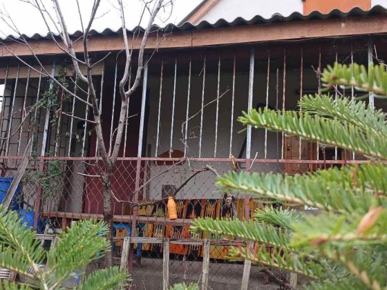 Продам дачу на Піщанці