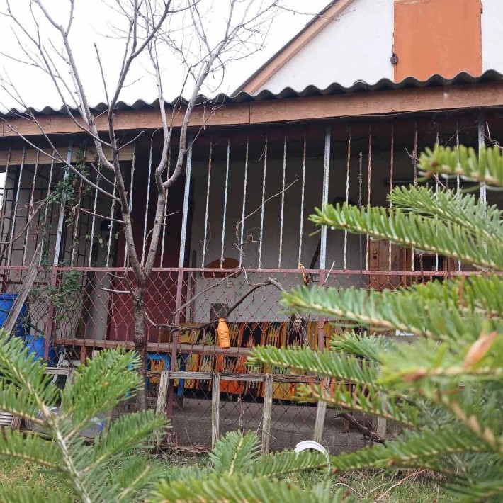 Продам дачу на Піщанці - фото 1