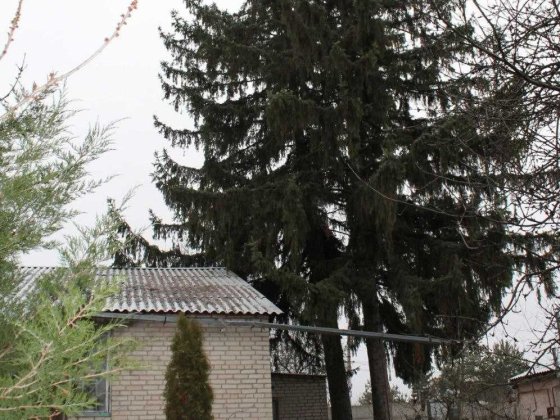 В продаже кирпичный дом 75 метров в пос.Высокий, не дорого  SM Високий