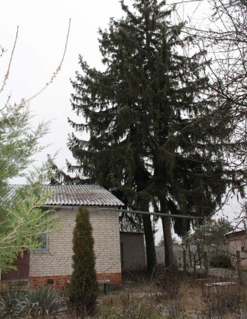 В продаже кирпичный дом 75 метров в пос.Высокий, не дорого  SM - фото 1