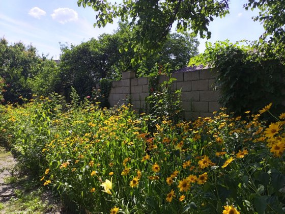 Продажа Коттеджа р-н Ж/Д Каменское