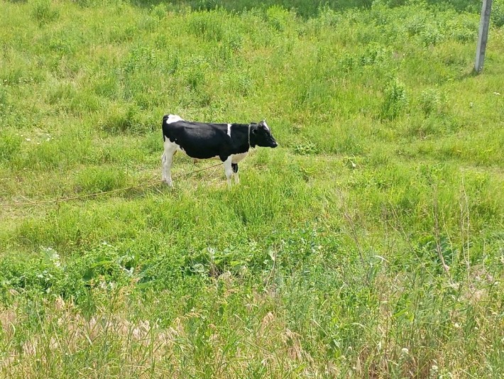 Продам дом Романково 27 школа - фото 1