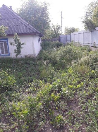 Земельна ділянка/будинок з надвірними спорудами - фото 1