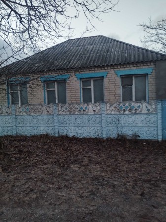 Продам будинок з господарськими будівлями - фото 1