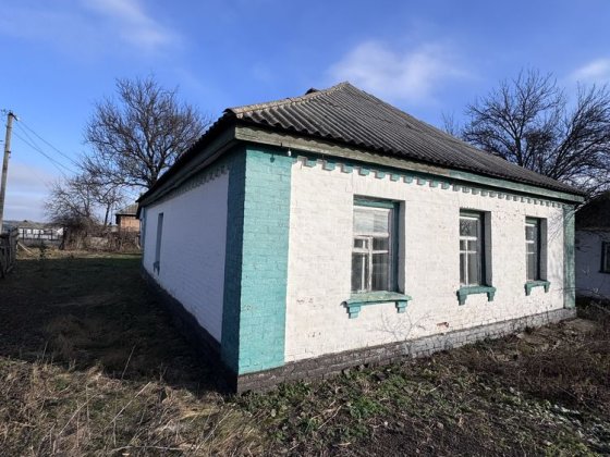 Будинок з присадибною ділянкою Каменка