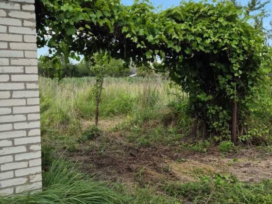 Продається дача Масив Машинобудівник Ковель