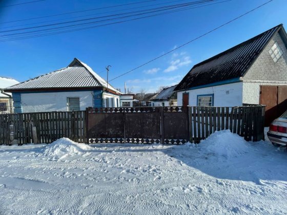 Будинок з великою приватною ділянкою 11 соток Лубни