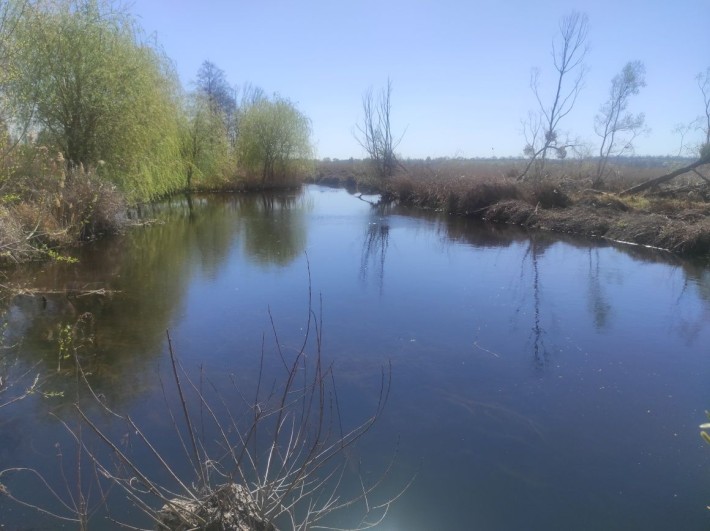 Продам будинок Мерефянський напрямок. - фото 1