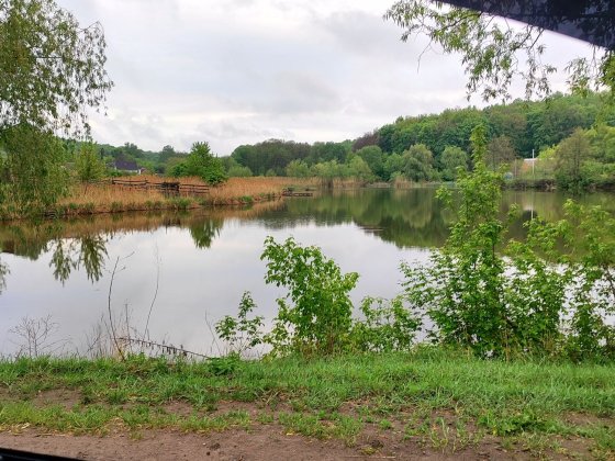 Продам будинок в Мерефі Мерефа