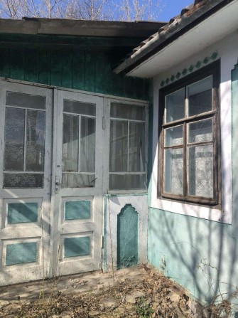 Продам будинок в селі, сосновий ліс , спокійне місце - фото 1