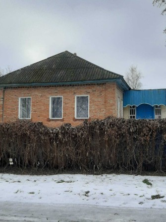 Продаж приватного будинку. Черніігівська область с. Володькова Дівиця - фото 1